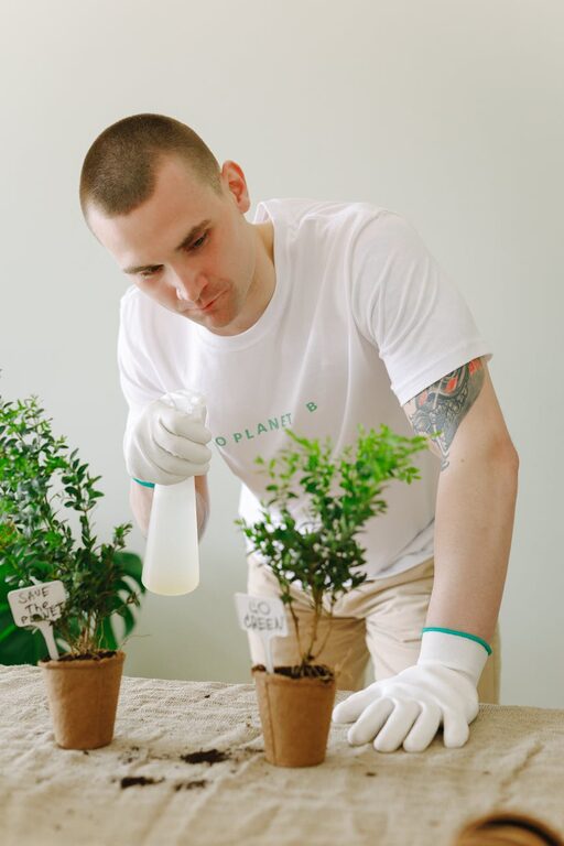Easy Tips for Keeping Your Houseplants Healthy and Thriving